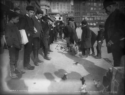 Ein Straßenhändler, New York City, 1903 von Detroit Publishing Co.